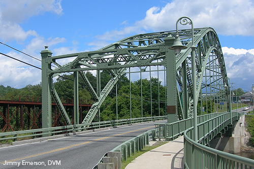 Ranger Bridge