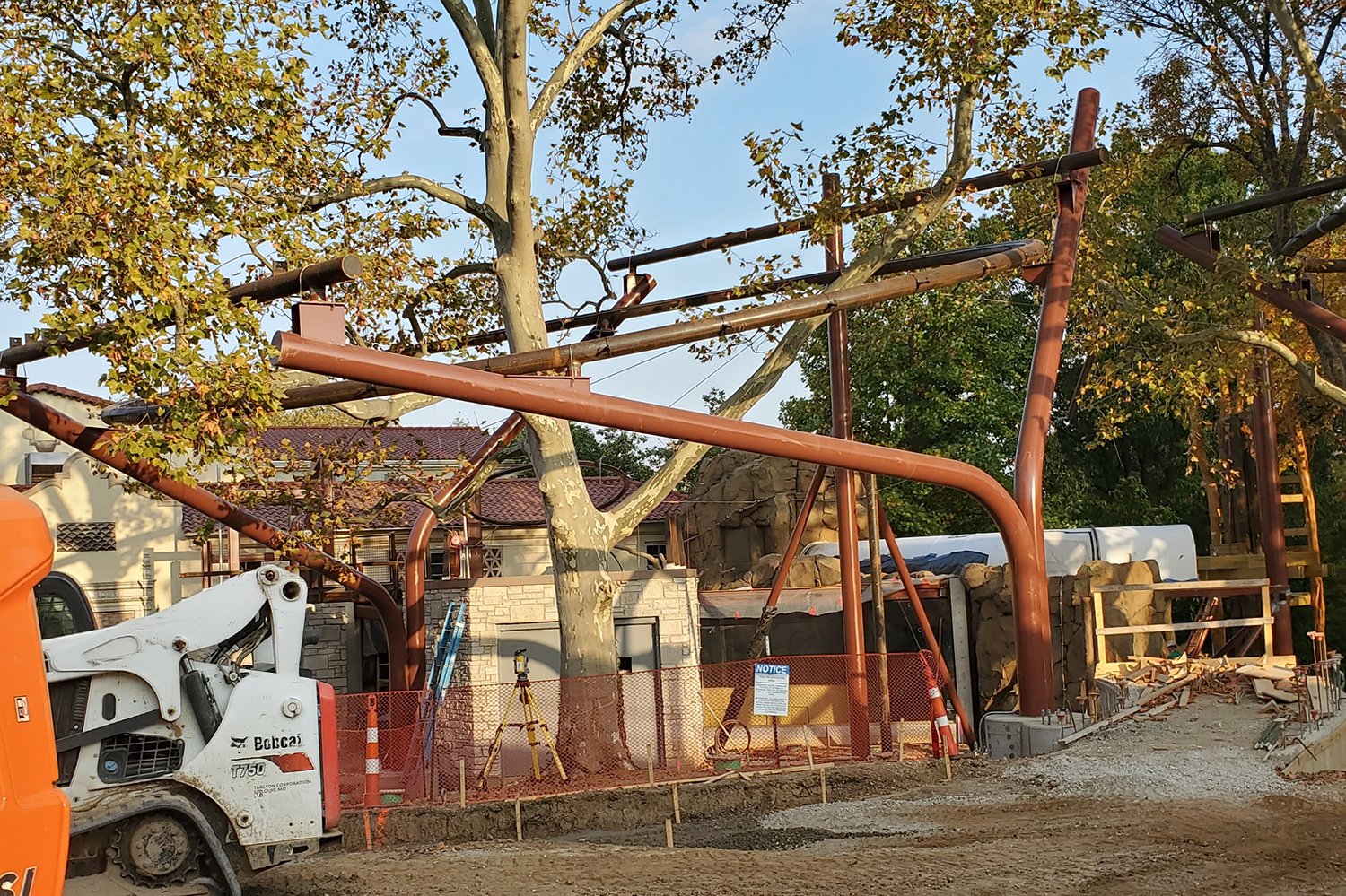 7_Canopy Trails Trees_CreditDaveNader_300dpi.jpg