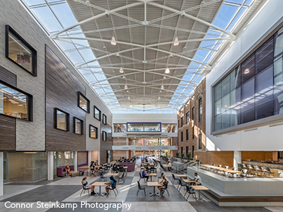 Downers Grove North High School Commons Roof